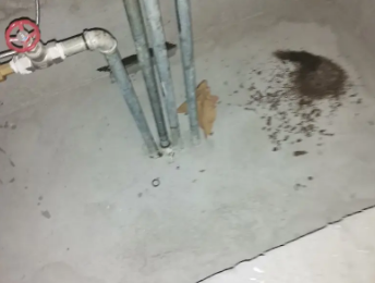 新余卫生间测漏水价格明细