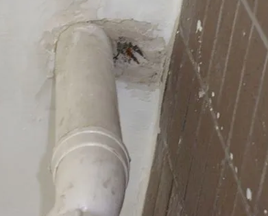 新余漏水检测哪家好